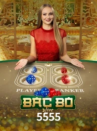 5555.COM